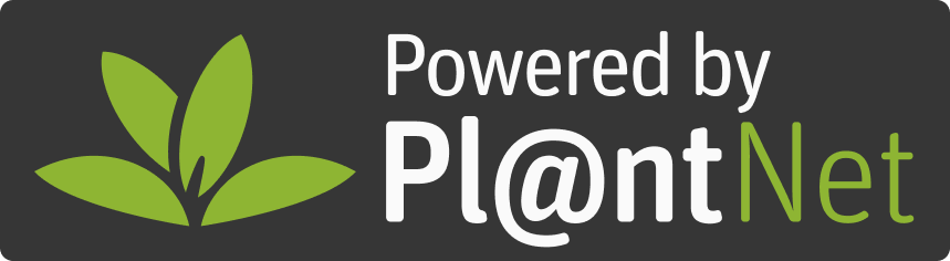 Powered by Pl@ntNet